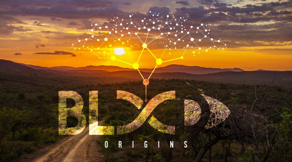 Blood Origins - a "hunting = conservation" force multiplier