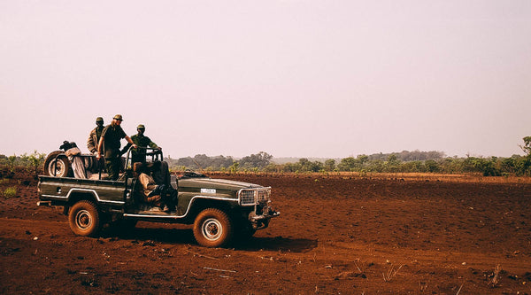 The problem with trophy hunting (and how the Eiffel Tower can help us)...